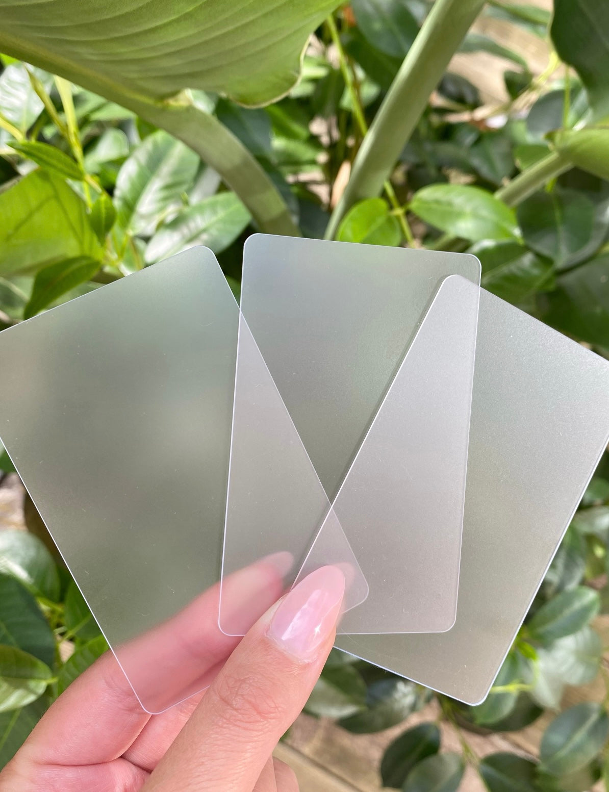 Blank Transparent Cards | Set of 3